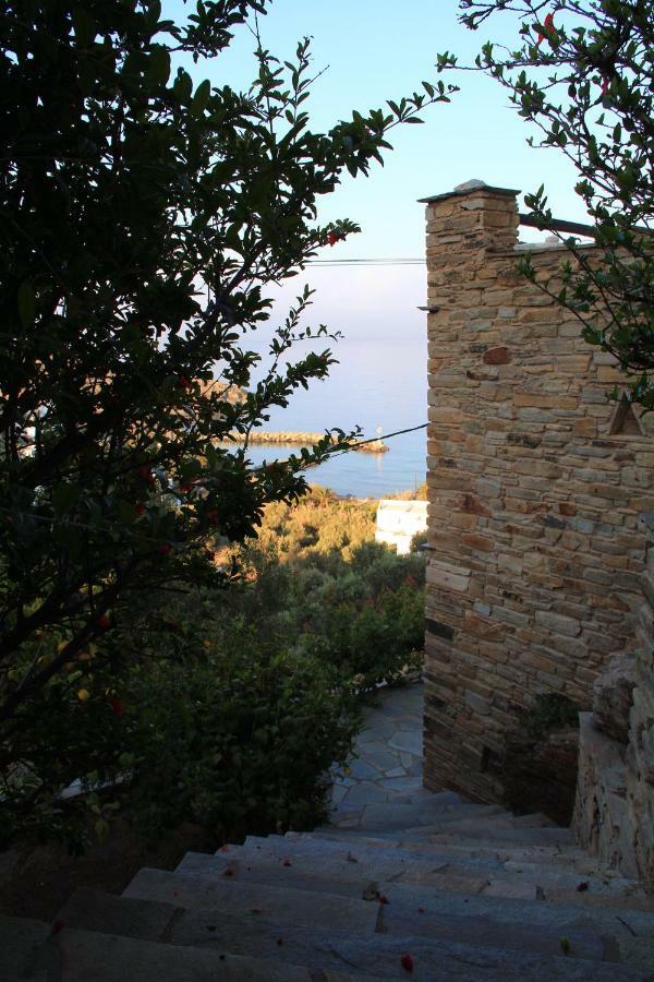 Cozy Guesthouse - Agios Romanos Exterior foto